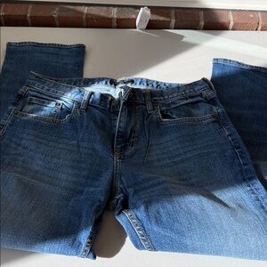 Banana Republic Relaxed Fit Blue Jeans